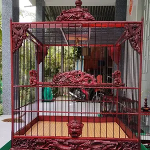 ngọc viên chuyên khung tự rap