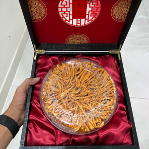 Đông trùng hạ thảo Hoà Nguyễn