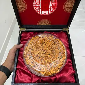 Đông Trùng Hạ Thảo Hoà.minzy