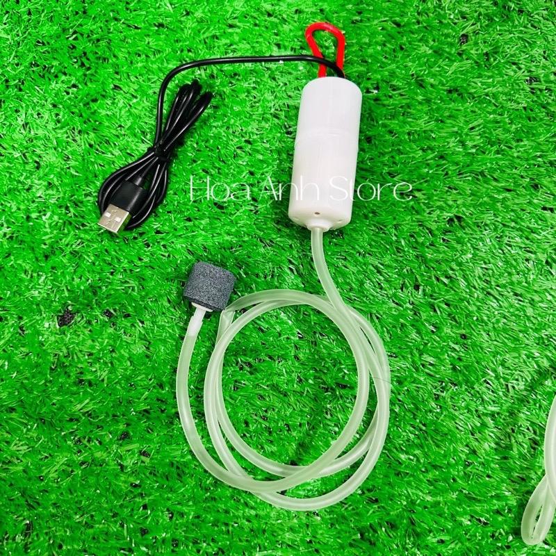Máy sủi oxy mini USB cho cá cảnh – thiết kế nhỏ gọn, dễ mang theo