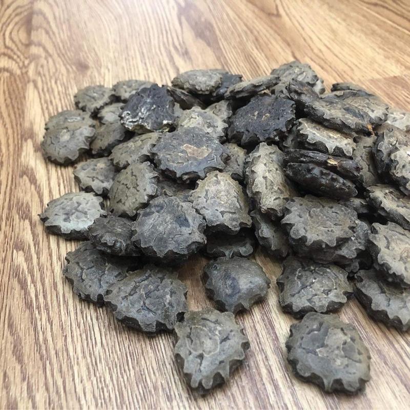 Hạt gấc làm giống