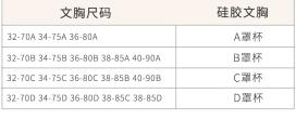 Product Introduction of Kefei Breast Pad Ultra-Thin Nipple Coverage Anti-Exposure Silicone Nubra Summer Wedding Dress Sling Beautiful Back Invisible Nipple Petals Womenswear Accessory 0