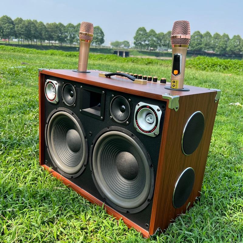 Loa Karaoke Di Động D196 Hai Bass 25, 11 Đường Tiếng. Công Suất 250w-650w, Tặng 2 Micro Không Dây, Dây Nguồn AC.