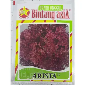 Bibit Selada Arista 10 gram - Bintang Asia Pasti Murahnya