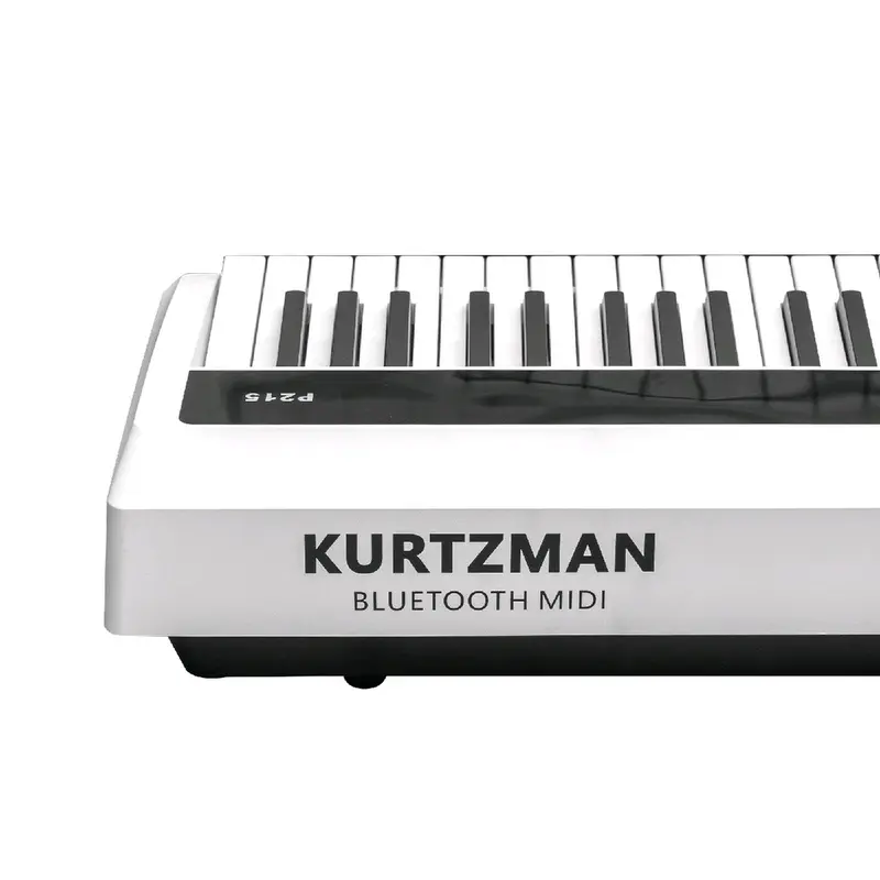 Đàn Piano điện phím Hammer-Action Bluetooth Audio & Midi KZM P215 2