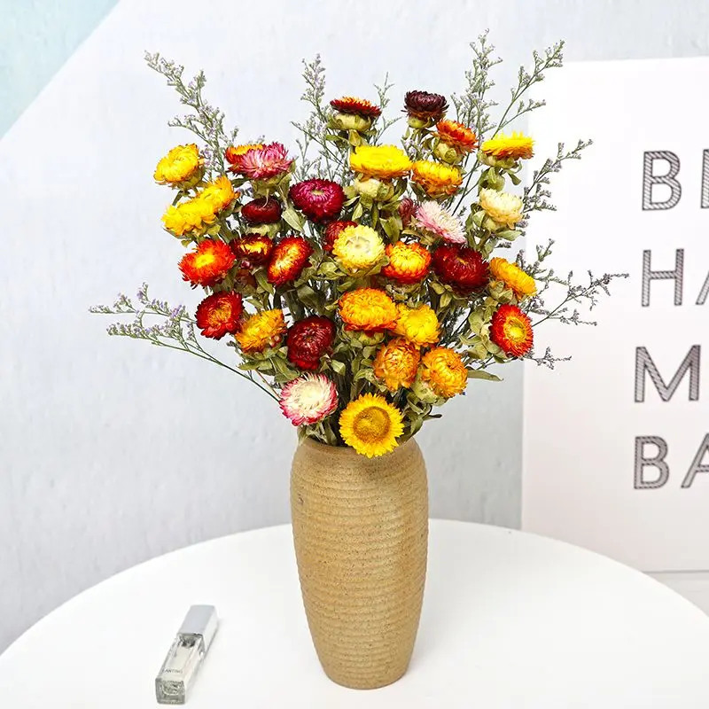 Small Daisy dried flower Yunnan real flower dried flower wholesale