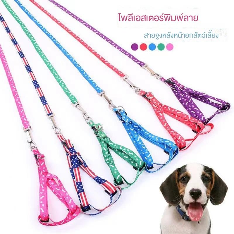 Xích Mèo, In Xương, Dụng Cụ Hữu Ích Khi Đi Dạo  Chó,  Xích Chó Mèo Đặc Biệt,  Đai Nịt Thú Cưng, Đồ Dùng  Xích Mèo   xích  chó   chuyền    cún dây đeo cho 0