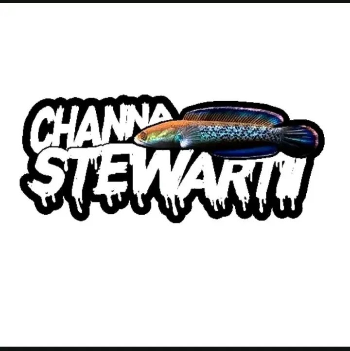 stiker chana stewarti 6-7cm Sintetis