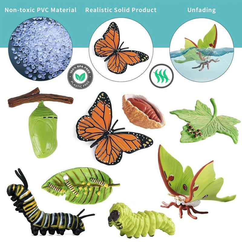 8pcs/set Butterfly Life Cycle Toy, Cute Model Caterpillar Butterfly, Montessori Early Childhood Education Toy 6