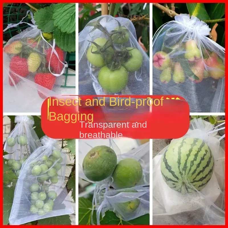 Túi Trái Cây, Thông Dụng, Chống Chim, Chống Côn Trùng, Thích Hợp Cho Dưa Và Trái Cây, Đặc Biệt Cho Húng Quế, Quả Mọng, Nho, Đào, Dâu Tây, Có Lưới, Túi Mắt 3