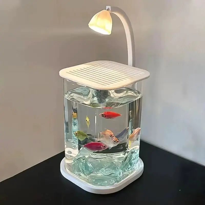 Bể Cá, Siêu Trắng, Bể Kính Nhỏ Thiết Kế Đặc Biệt Thích Hợp Cho Bể Cá Chiến Đấu, Đồ Trang Trí Sáng Tạo, Để Phòng Khách Và Máy Tính Để Bàn, Truy Cập Sinh Thái Cao Cấp, Phong Cách Người Nổi Tiếng Trên Internet