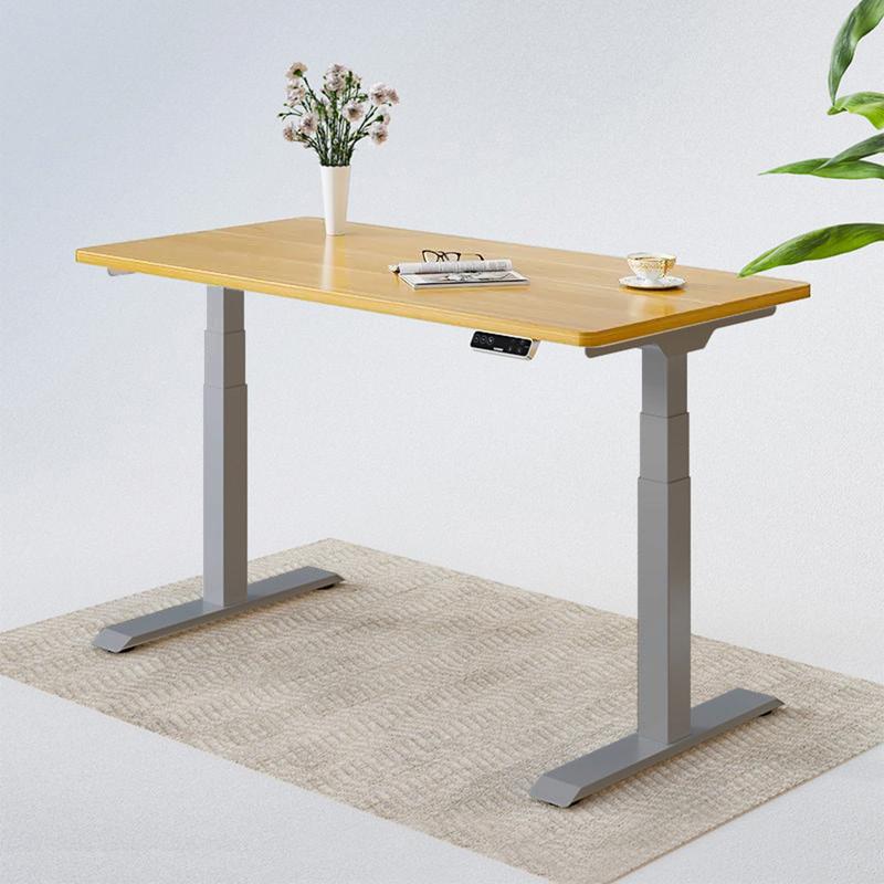 [DERGO HN] Bàn Làm Việc Đứng Flexispot (Premium Plus- 3 Stages - T Leg) - E7 5