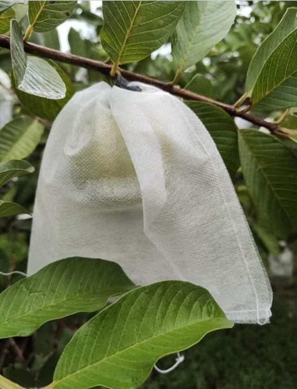 100 Cái Túi Vải 18*20cm Bao Bọc Ổi, Na, Táo, Cam,...Túi Bọc Trái Cây