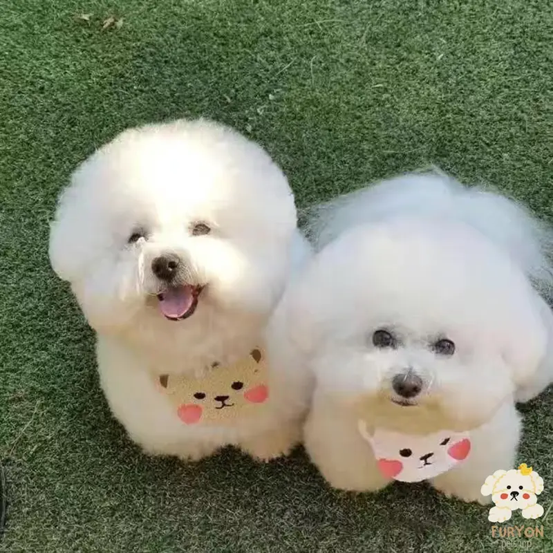 Kalung Bandana Scarf Leher Anjing Kucing Kecil Model Beruang 2