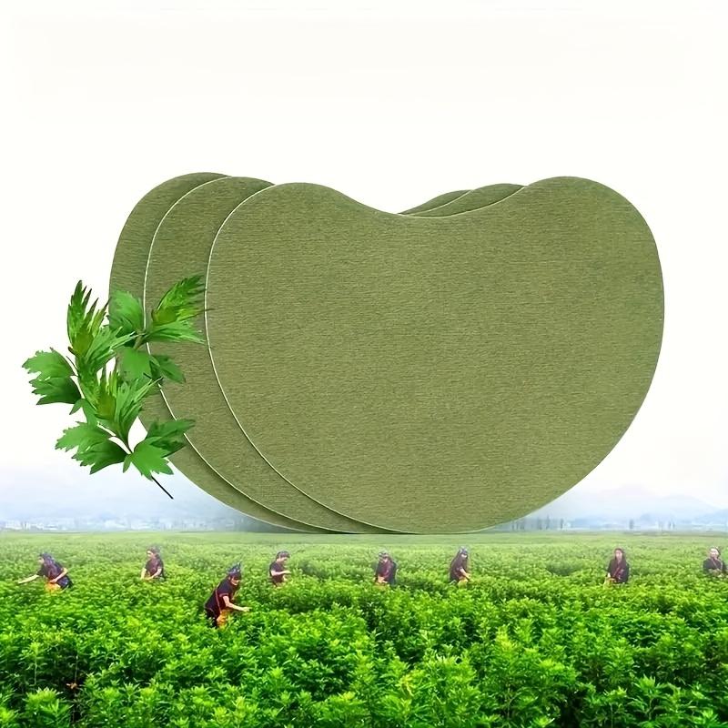 Product Introduction of Miếng Dán Chiết Xuất Ngải Cứu 10 Miếng, Có Sẵn Cho Eo Và Nhiều Bộ Phận Khác 4