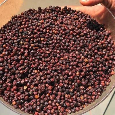 Chả Lụa GÂN ỚT XIÊM XANH Bà Hoa Cam 5 Cây 500g Hàng Ăn Nhà Xâu 1kg 5 Cây 200g- LB.BHC.ANNHA.003 (Chỉ giao miền nam) 3