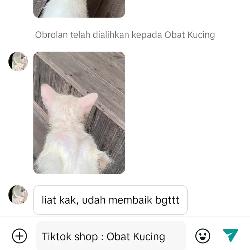 (BISA COD) HerbaCat Spray Obat Anti Jamur dan Scabies Kucing Alami Kesehatan Bulu Kitten fan kucing dan untuk pencegahan penyakit kulit pada kucing 6