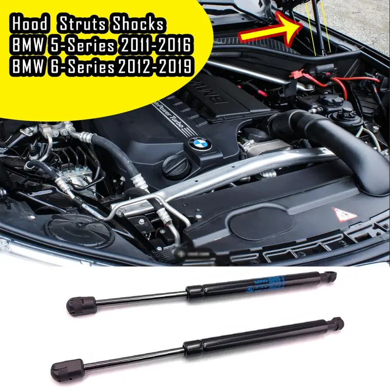 Front Hood Lift Supports Struts Shocks Compatible with BMW 5-Series 2011-2016 ,6-Series 2012-2019 SG 402062   , 51237309119 , 613891