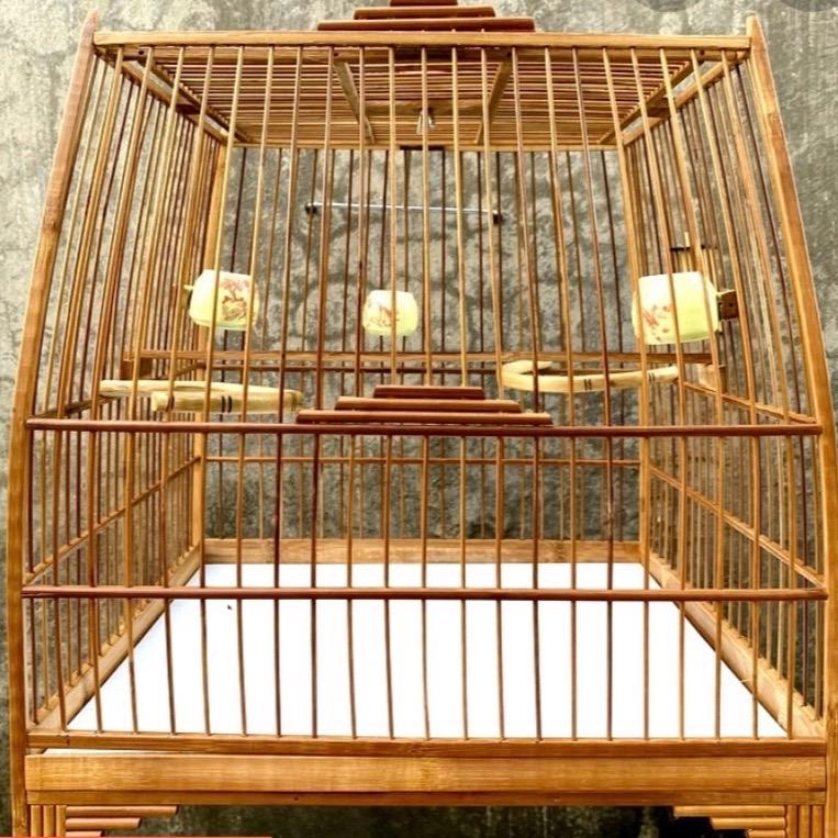 Khung rap lồng chào mào , khung thái đấu