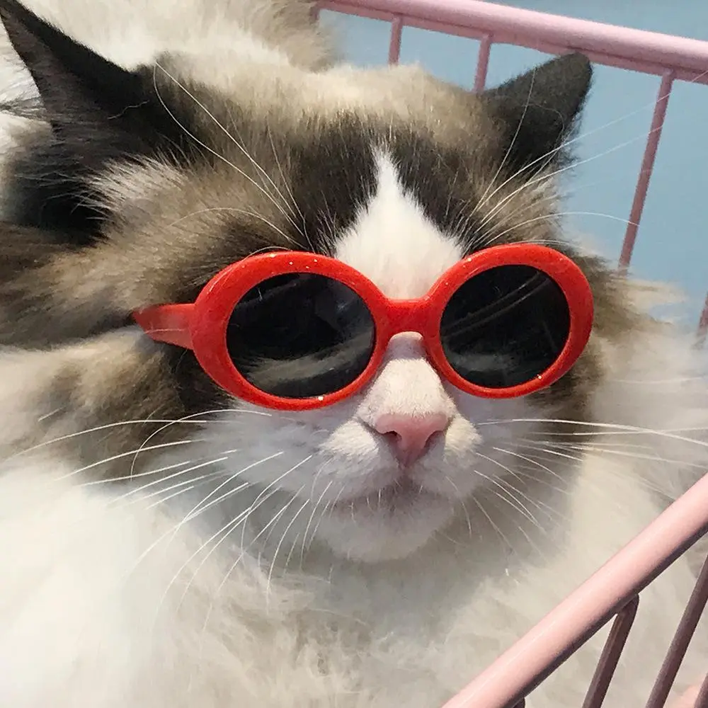 Lovely Vintage Round Cat Sunglasses Eye wear glasses For Small Dog Cat Pet Photos Pet Products Props Accessories