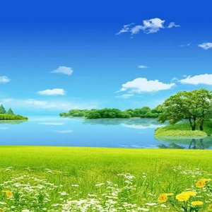 SHOP Mẹ và Bé 19.