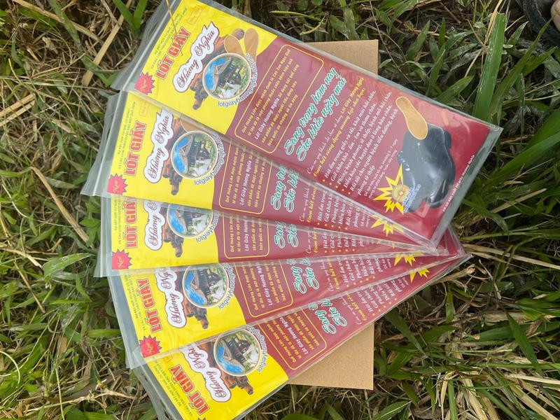  Combo 10 Lót Giày Hương Quế Miếng Lót Giày Khử Mùi 