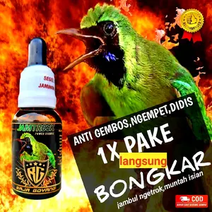 JAMTROCK RG,VITAMIN KHUSUS CUCAK IJO