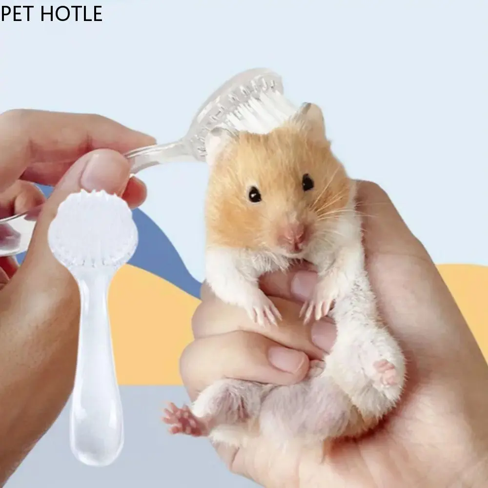 PET HOTLE Small Animal Grooming Tools Soft Small Hamster Brush Round Head Plastic Bear Cleaning Comb Bath Mini Brush Long Hair Guinea Pig Massage Combs For Hedgehog