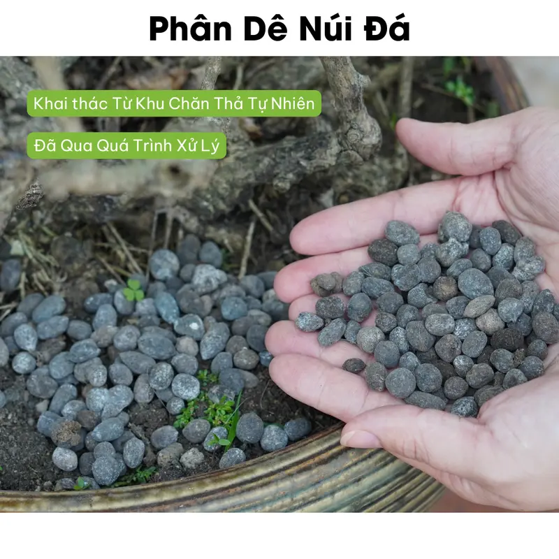 Phân dê trồng Hoa Lan, Túi lưới  20cm Đã xử lý, ComBo 50 Túi lưới 20cm ( tặng 1 kích rễ ) 7