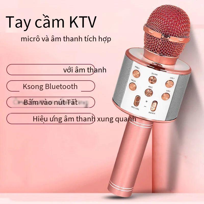 WS858 Micrô Karaoke không dây cầm tay chuyên nghiệp Micrô loa USB cho trẻ em Máy nghe nhạc Máy ghi âm hát KTV Vận chuyển trong vòng 24 giờ thùng  karaoke