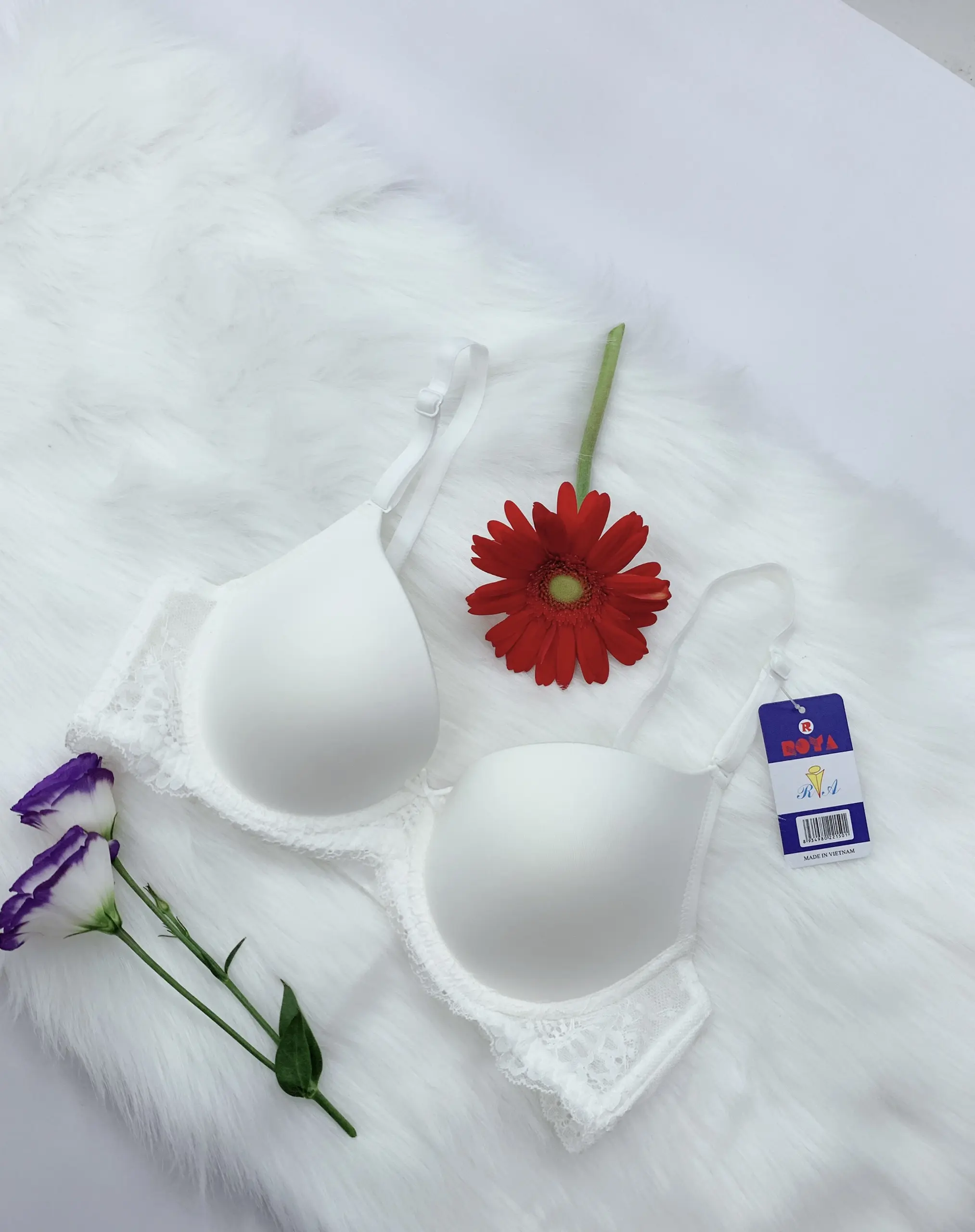 [M007] Áo lót cub mỏng mút trơn đai ren cao cấp Roya ( mút 0.5 phân) Nữ