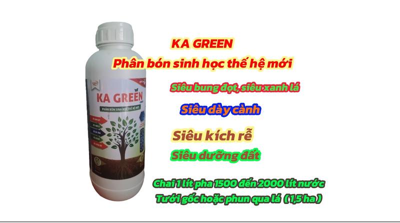 Product Introduction of Phân bón sinh học Ka Green LiQuid gói 100ml giúp cây bung đọt, xanh lá, dày cành, kích rễ  mạnh, dưỡng đất phì nhiêu. ka  green phân  bón phân  bón 1