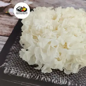 TERMURAH! / 31gram  MURAH Jamur es / putih salju / bai mu er / yin er/ white fungus