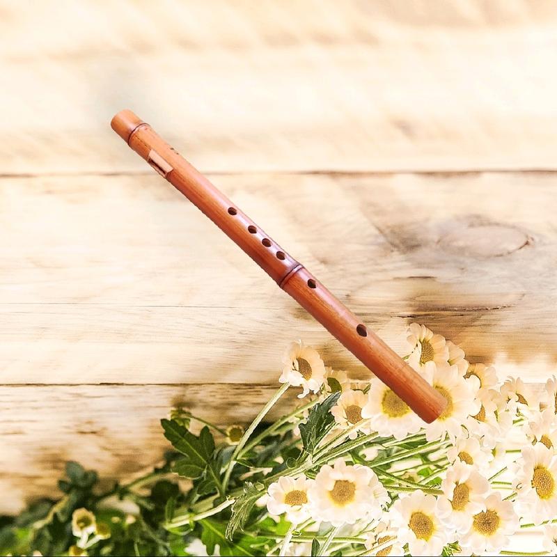 SÁO MÈO NỮ Trúc Việt tone C