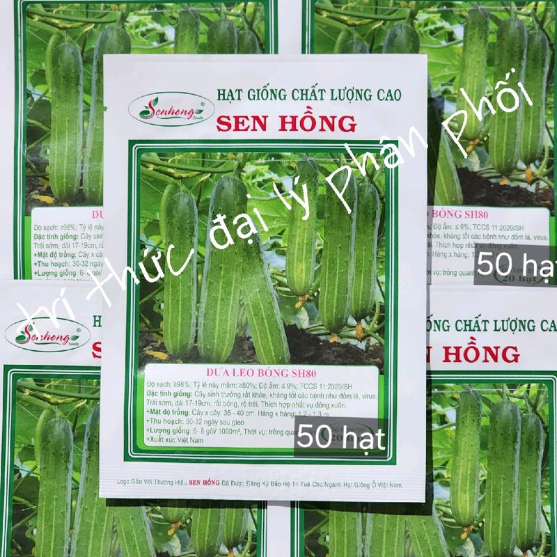 Hạt giống dưa leo sh80 sen hồng gói 50 hạt. 