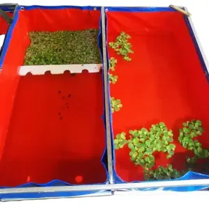 Terpal kolam ukuran 100x50x25 bahan korea A5