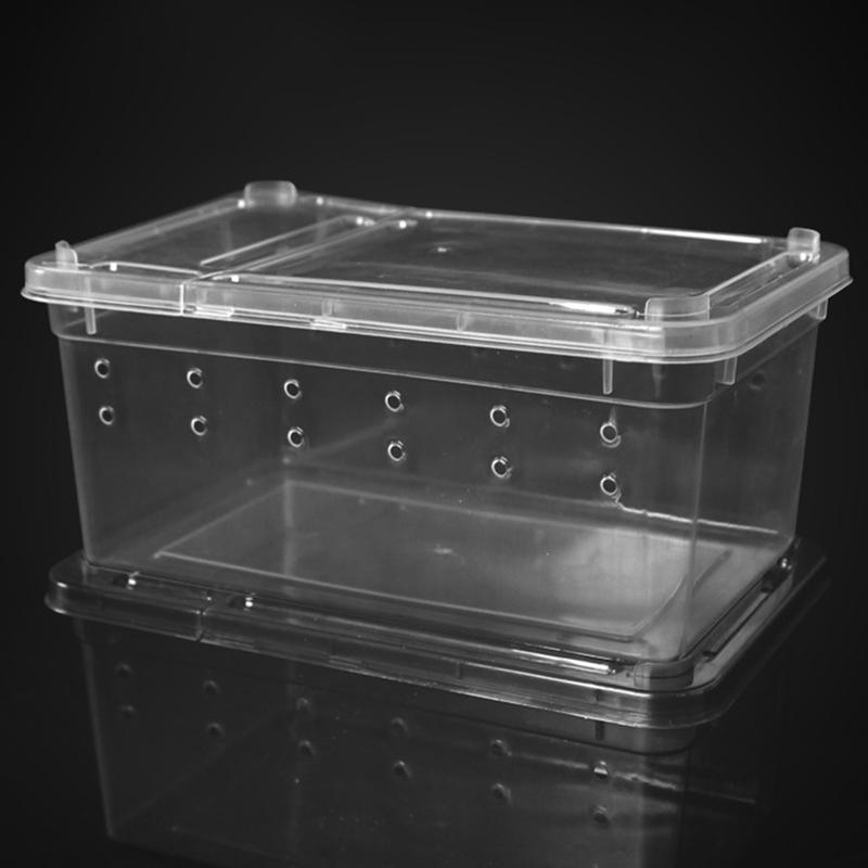 Reptile Small Snake Feeding Box Portable Snake Breeding Box Lizard ...