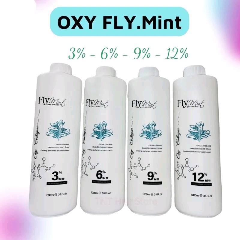 Oxy Trợ Nhuộm FLY Mint Hương bạc hà chống xót siêu dưỡng đặc thơm Dung tích 1000ml dành cho Salon Đổi Màu Tóc Nhuộm Tóc