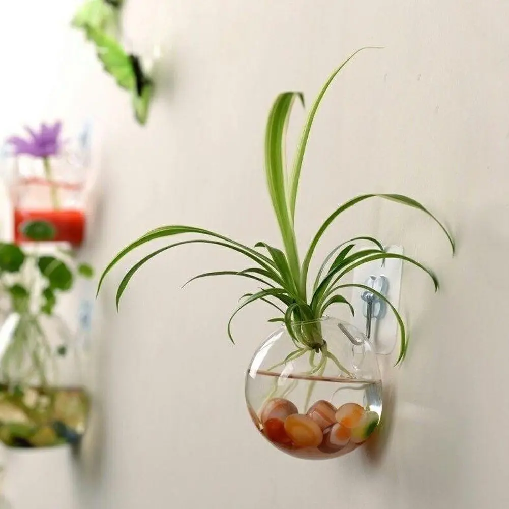 Bình Kính Treo Tường, 10CM / 12CM, Hộp Đựng Thủy Canh, Thích Hợp Cho Cây Cá Và Chậu Hoa, Treo Tường, M9T1