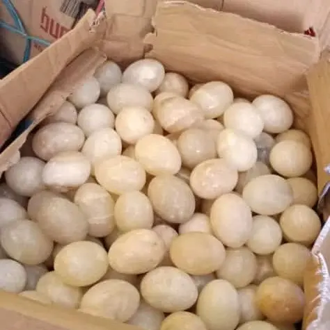 TELUR BATU / PAJANGAN TELUR BATU / PAJANGAN BATU / ALAT TERAPI / TERAPI ALAMI