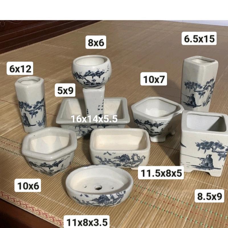  Set 10 chậu gốm men trắng đẹp trồng bonsai mini 