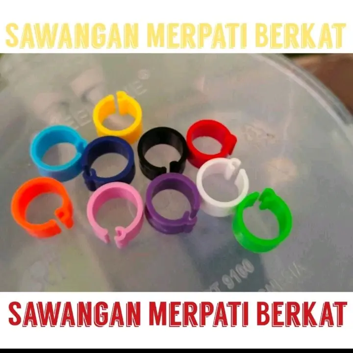 10 pcs ring cincin gelang burung merpati dara bongkar pasang
