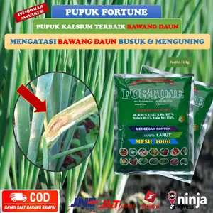 FORTUNE 1 KG Pupuk Terbaik Mengatasi Layu Pada Bawang Daun Obat Penyakit Bawang Merah Daun Kuning Paling Bagus Fungisida Pengendali Penyakit Virus Kuning Bawang Merah Daun