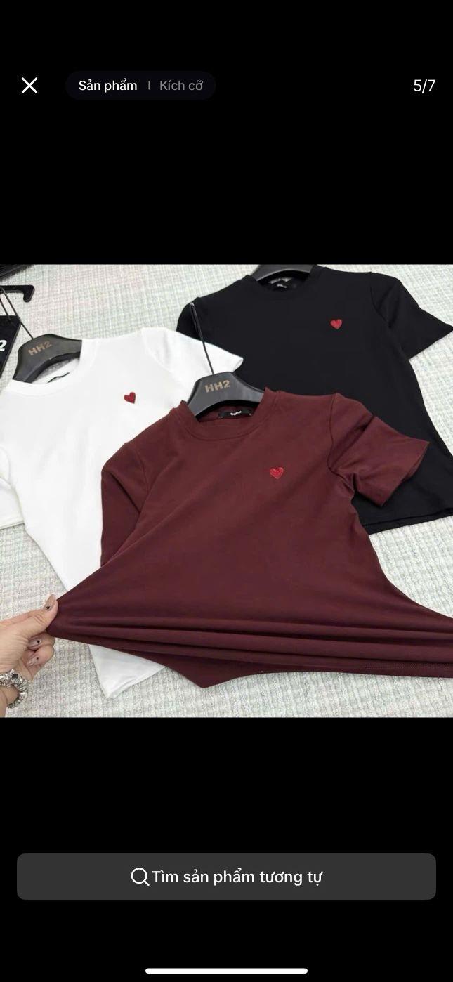 Product Introduction of Áo 3 Màu Thun Nữ Ôm Body Thêu Trái Tim - 7