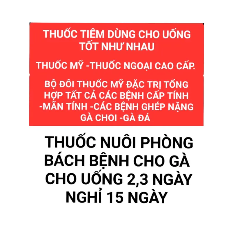 Thuốc gà mỹ-BỘĐÔI BACHBỆNH(thuốcphòngbệnh-thuốctrị bệnh),(Thuốcnhỏmiệng -thuốc pha nước) 1