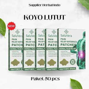 (PAKET 50 PCS) Koyo Herbal Pain Relief Isi 10 Pads Sakit Pinggang