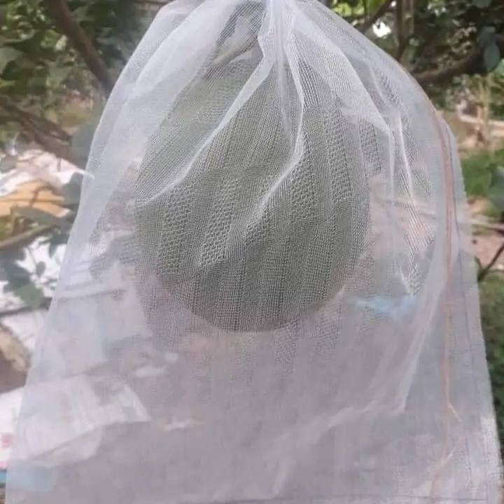 combo 20 cái túi bao trái cây 30x40 bao bưởi, mãng cầu gai và các loại trái cây khác