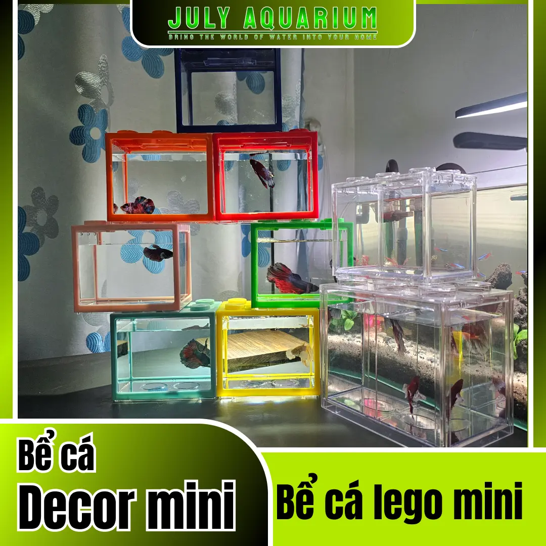 bể cá để bàn, bể cá mini, phù hợp để trên bàn làm việc, phòng bếp, trang trí, decor bể   betta Rẻ, bể cá  betta  rẻ bể  cácảnh Bể  cá betta rẻ bể acrylic