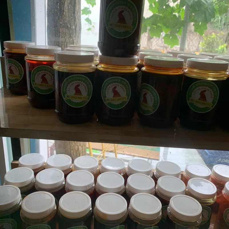 Nghệ xà cừ ngâm nguyên chất cho gà đá 3
