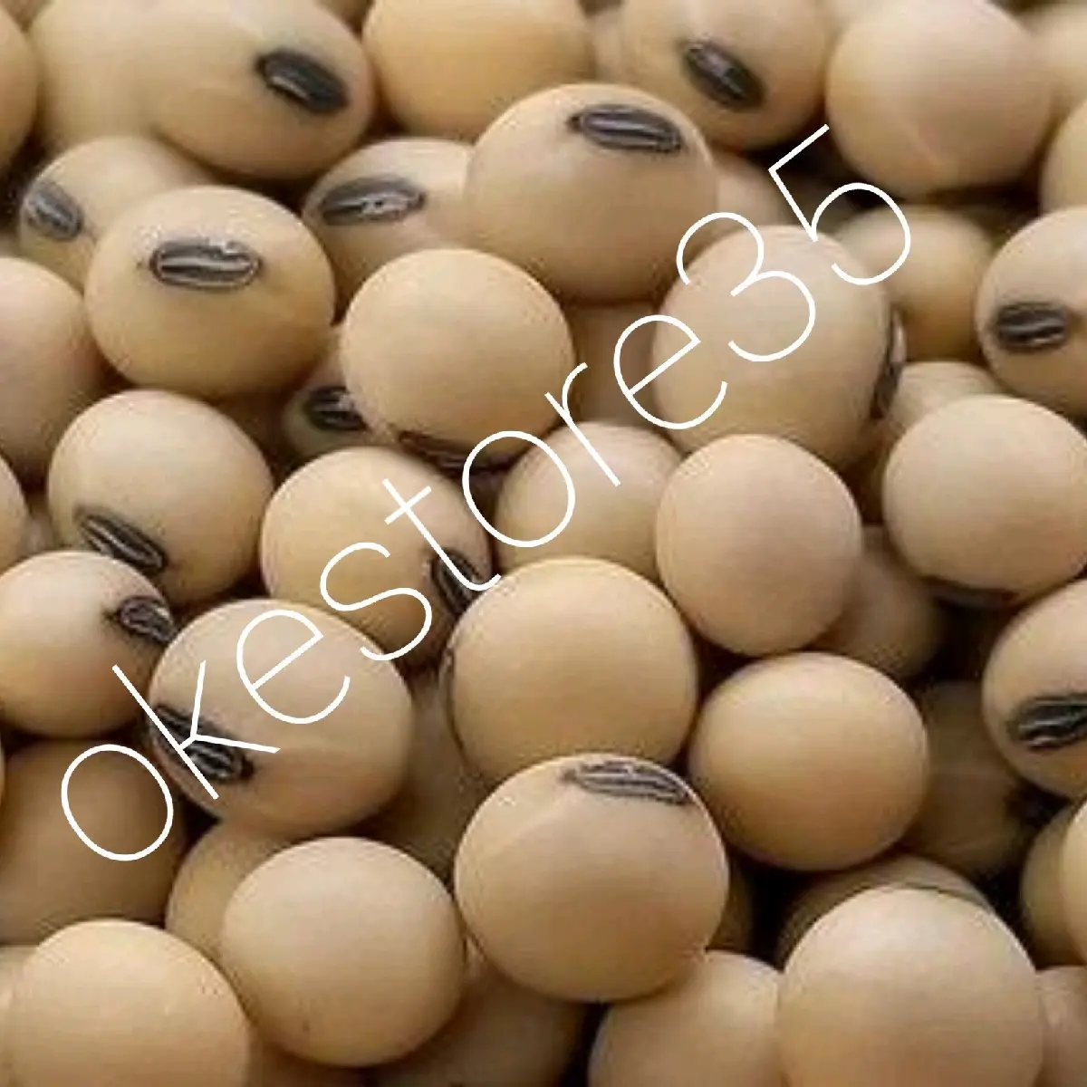 100 gram kacang kedelai || kacang kedele